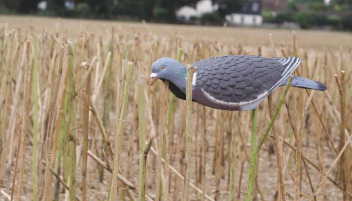 Perfect test - Airgun Hunter - image {image:count}