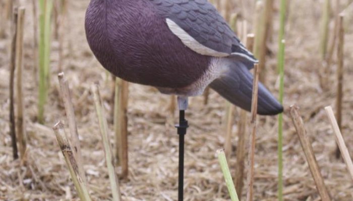 Perfect test - Airgun Hunter - image {image:count}