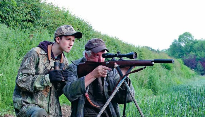 Pest Control Special - image {image:count}