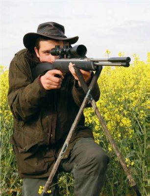 Pest Control Special - image {image:count}