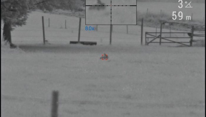 Pulsar Digisight Ultra N450 Riflescope - image {image:count}