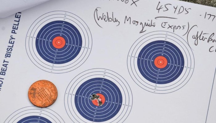 RAW HM1000X - image {image:count}