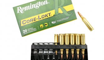 Remington 243 WIn 100 grain