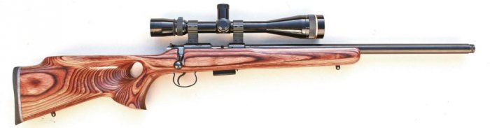 Rimefire Delights - image {image:count}