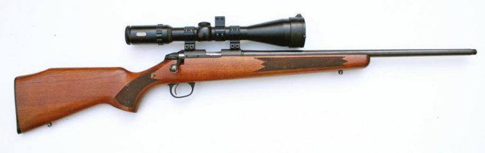 Rimfire Delights - image {image:count}