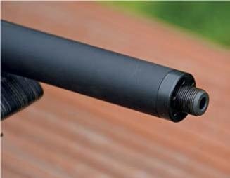 Ruger 10-22 Target - image {image:count}