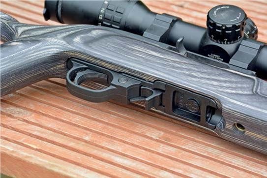 Ruger 10-22 Target - image {image:count}
