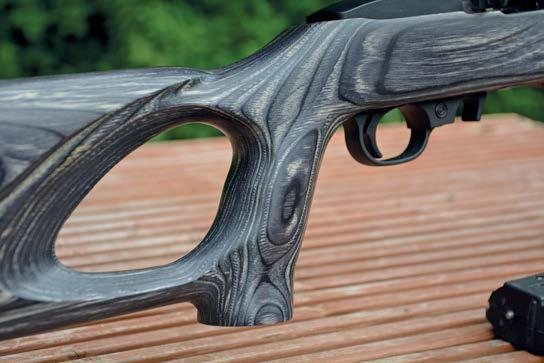 Ruger 10-22 Target - image {image:count}