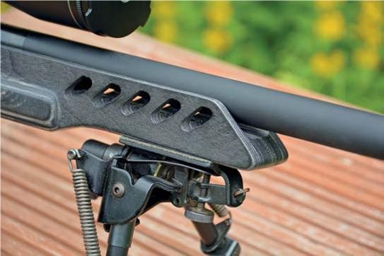 Ruger 10-22 Target - image {image:count}