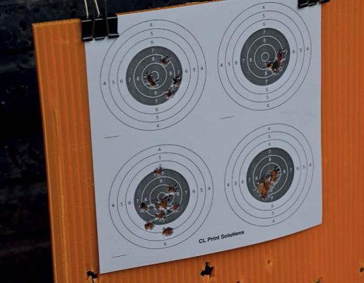 Ruger 10-22 Target - image {image:count}