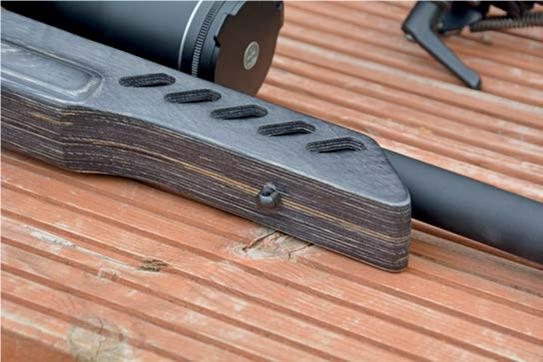 Ruger 10-22 Target - image {image:count}