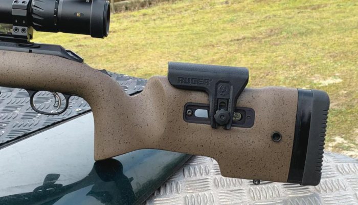 Ruger American Rimfire - image {image:count}
