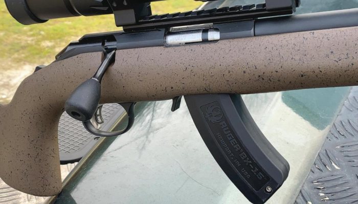 Ruger American Rimfire - image {image:count}