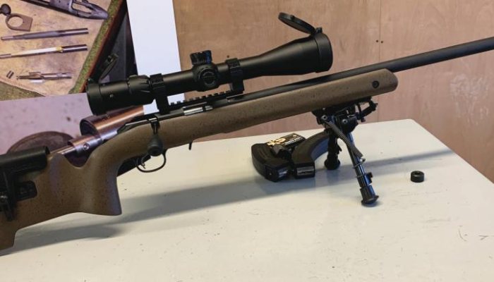 Ruger American Rimfire - image {image:count}