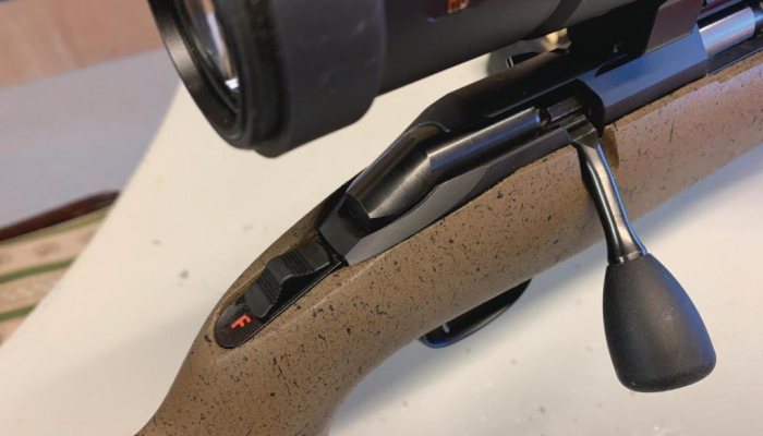 Ruger American Rimfire - image {image:count}