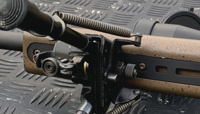 Ruger American Rimfire - image {image:count}