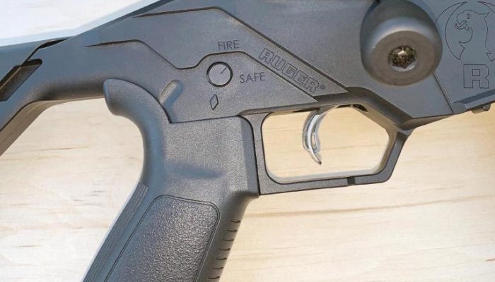 Ruger Precision Rimfire - image {image:count}