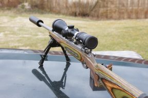 Ruger M77/17 Hornet