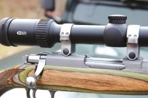 Ruger M77/17 Hornet - image {image:count}