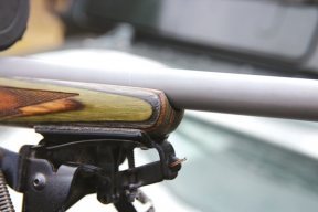 Ruger M77/17 Hornet - image {image:count}