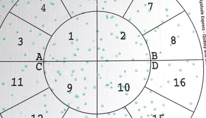 Semi Auto Shotgun round Up - image {image:count}