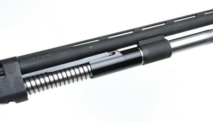 Semi Auto Shotgun round Up - image {image:count}