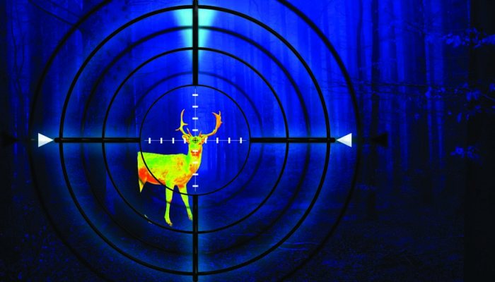 New course promotes safe wildlife management at night - image {image:count}