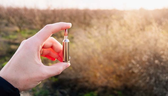 Public safety concerns over copper bullet use - image {image:count}