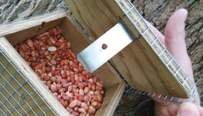 SMUK Squirrel feeder - image {image:count}