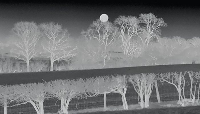 TrackIR-35 Thermal Imaging Monoculars - image {image:count}