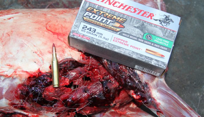 Winchester Extreme Point Copper Impact lead-free ammunition - Serious Expansion - image {image:count}