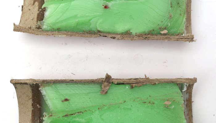 Winchester Extreme Point Copper Impact lead-free ammunition - Serious Expansion - image {image:count}