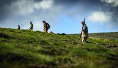 Walked-up grouse kit: seven essentials for the hill