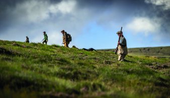 Walked-up grouse kit: seven essentials for the hill