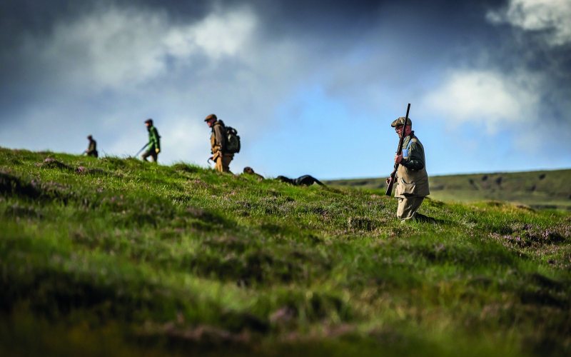 Walked-up grouse kit: seven essentials for the hill