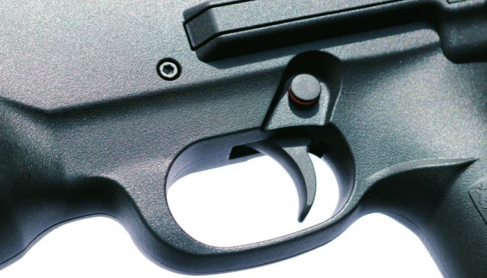 Walther Reign Bullpup - image {image:count}