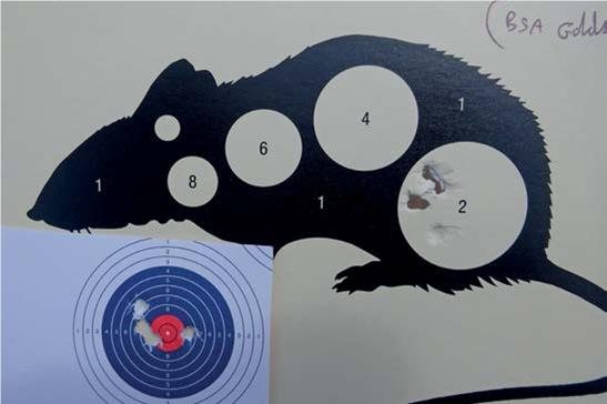 Walther Reign M2 - image {image:count}