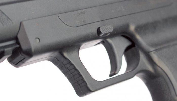 Webley Nemesis - image {image:count}