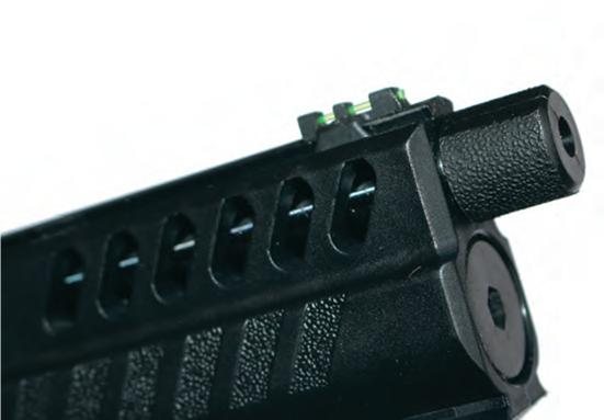 Webley Nemesis - image {image:count}