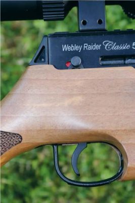 Webley Raider Classic 500 - image {image:count}