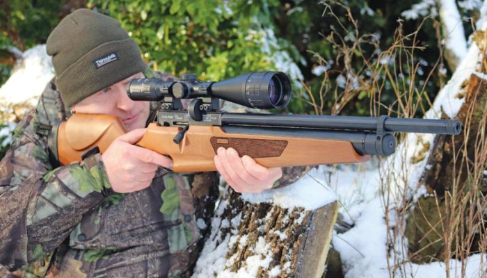 Webley Raider Quantum Classic - image {image:count}