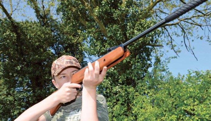 Webley & Scott VMX Cub