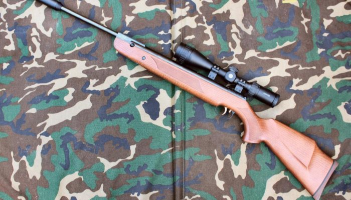 Weihrauch HW95 Luxus with Silencer - image {image:count}