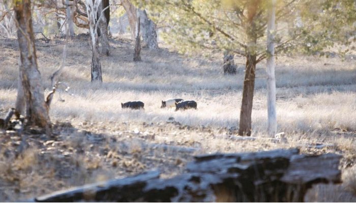 Winter Range - image {image:count}