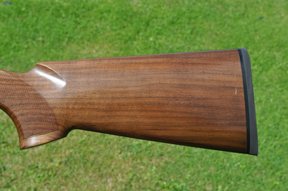 Fausti Warwick - image {image:count}