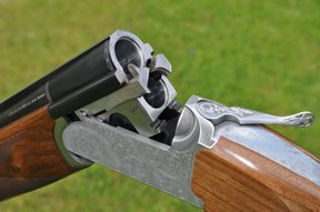 Fausti Warwick - image {image:count}