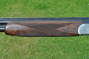 Fausti Warwick - image {image:count}