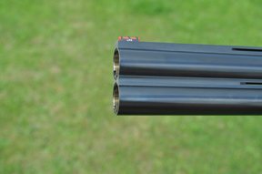 Fausti Warwick - image {image:count}