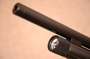 Falcon Prairie B Walnut Profile - image {image:count}