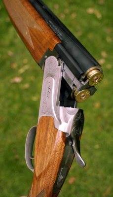 Winchester Select 2 Sporting - image {image:count}